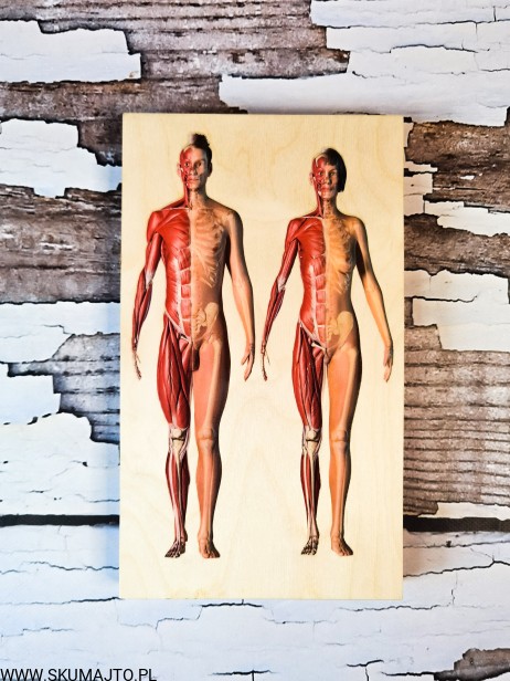 201452181_203637381622062_5857800385230226385_n