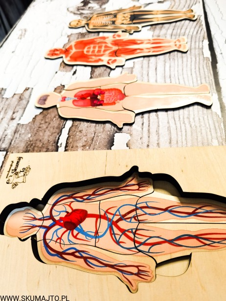 200910221_489841935556154_529651137251699757_n