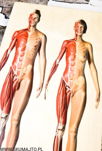 199913690_478495043454638_6962505595213816318_n