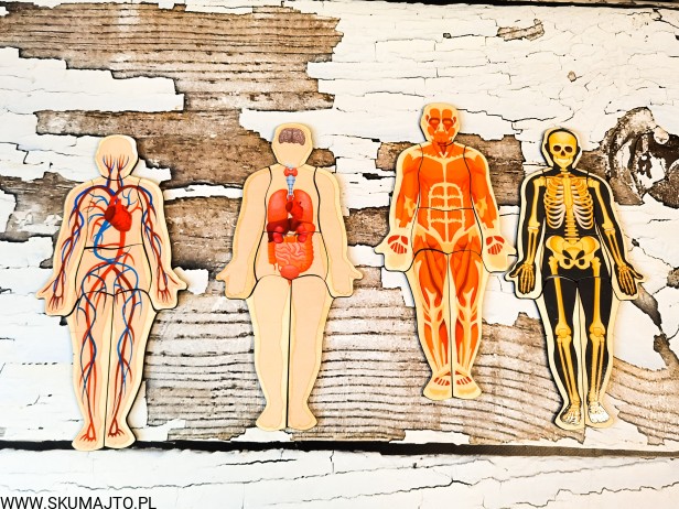 201194510_517363226078182_6974635487086062639_n