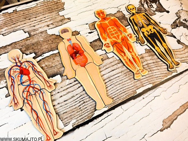 200144180_864377111091862_4732830430606297263_n