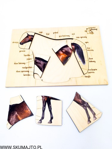 IMG_20210630_114216_1