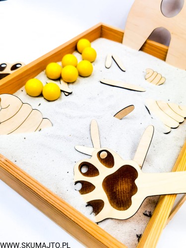 205604039_557507002075257_2473871756100635525_n