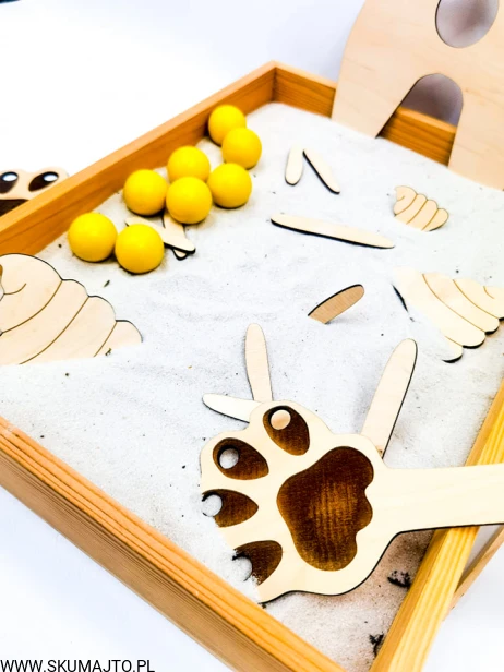 205604039_557507002075257_2473871756100635525_n