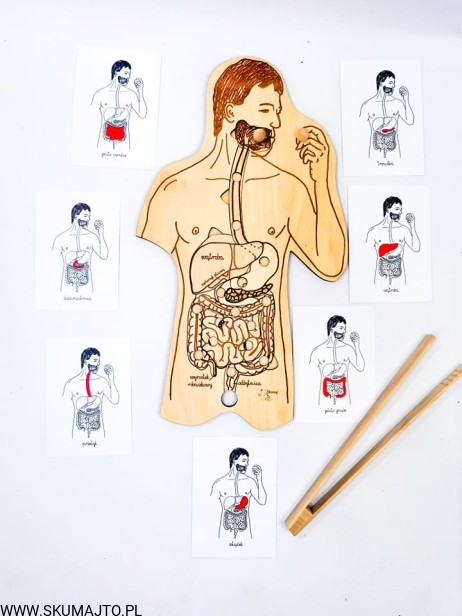 207520789_784803702204148_2465045078206511803_n