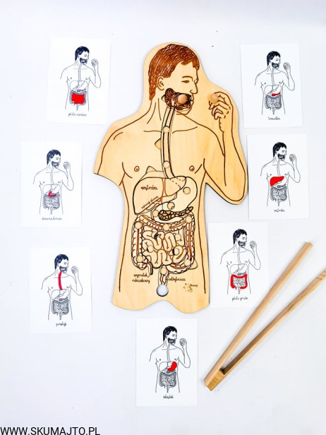 210656391_500936341176249_5224854082368013068_n