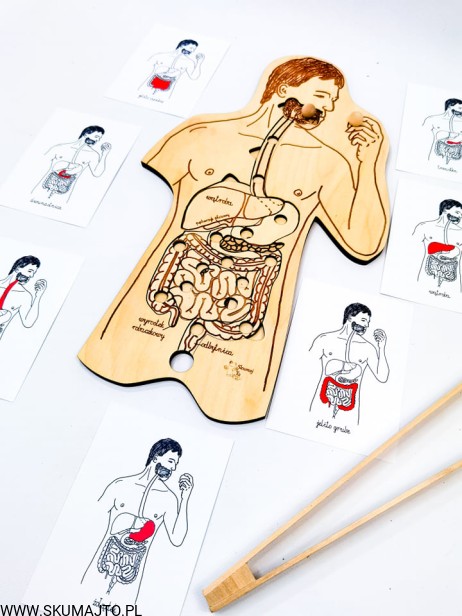 210332273_534059691124246_9220297300710042347_n