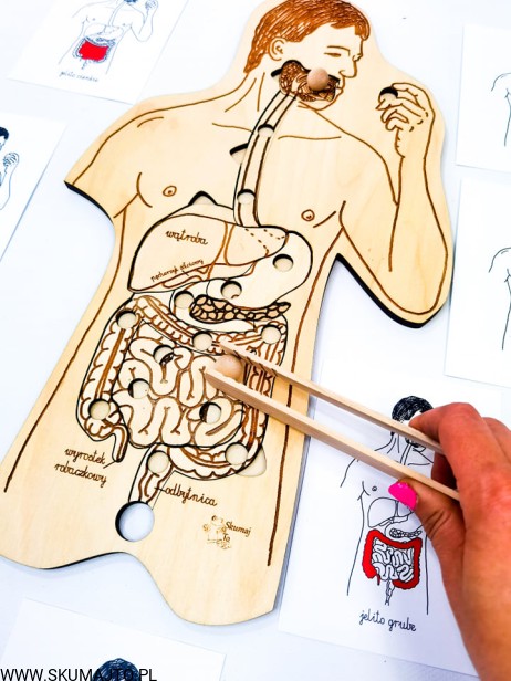 209695572_941699706394315_389500684852405896_n