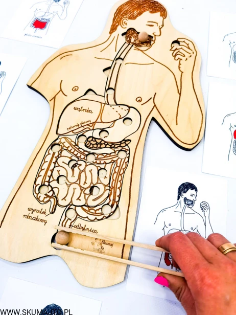 210709769_324323142656974_2750428881797077652_n