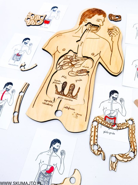 210918566_250003709811592_2691500396526858985_n