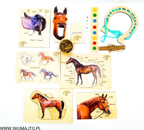 214759733_510228590244559_1255349845808154407_n