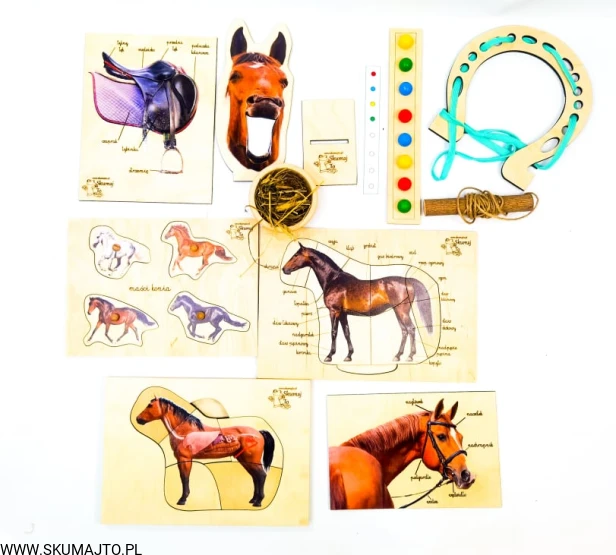 214759733_510228590244559_1255349845808154407_n