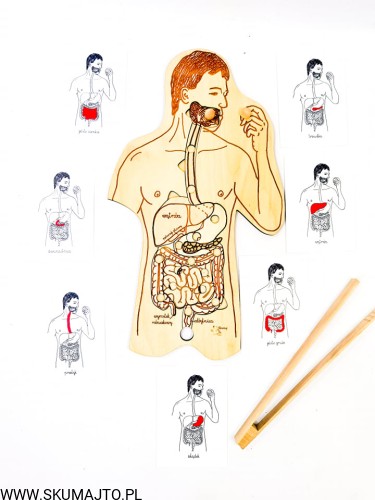 201452177_519631109292104_7036200235668707380_n