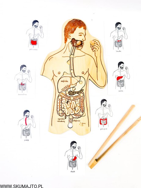 201452177_519631109292104_7036200235668707380_n