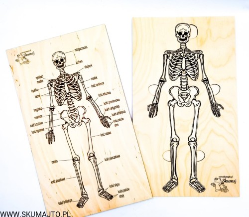 211708601_133744265540491_395706758089851126_n