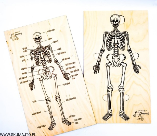 211708601_133744265540491_395706758089851126_n