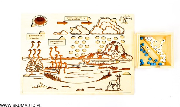 202003474_528165501830527_1199443956932408870_n