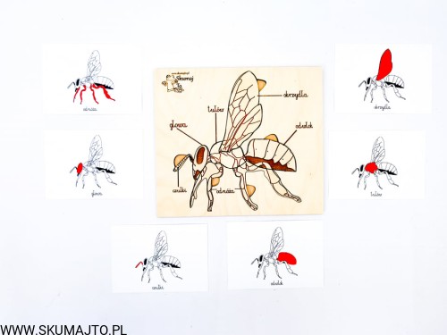 214129691_244517653861832_6876048710287131485_n