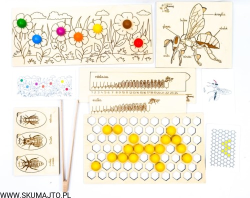 202651114_508855427034599_6484248812654904473_n