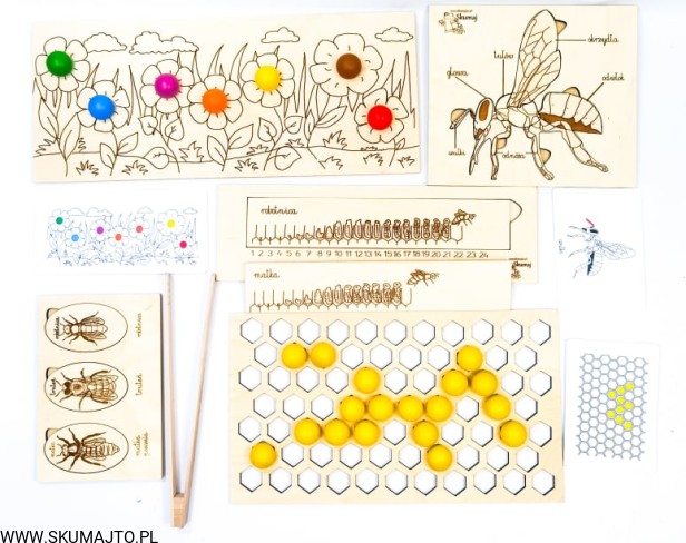 202651114_508855427034599_6484248812654904473_n