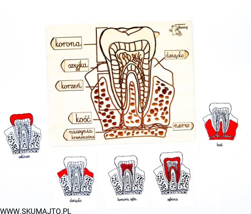 215672910_550061203031968_7355695287457147820_n