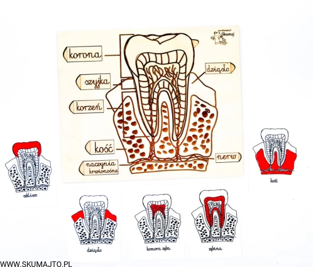 215672910_550061203031968_7355695287457147820_n