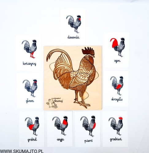 217256542_3075531162735978_2167386139958663685_n