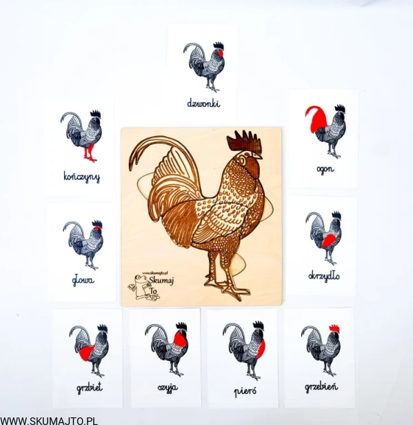 217256542_3075531162735978_2167386139958663685_n