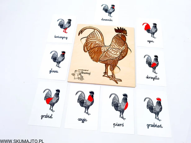 217590052_510775216650076_8430892000695527335_n