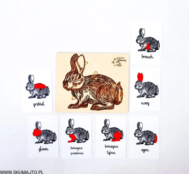 217394213_141867458058041_4934647672725500452_n