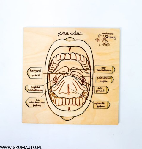 214737552_516012549722928_3064118193031050648_n