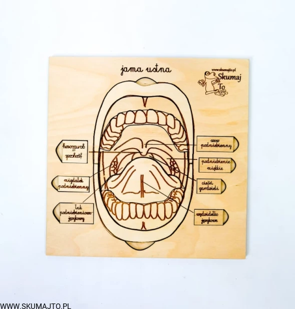 214737552_516012549722928_3064118193031050648_n