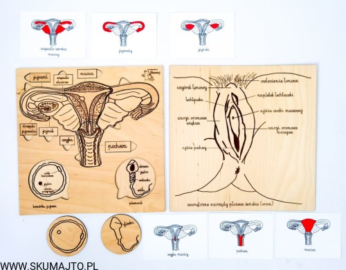 216873885_858759661704211_7348741947779778163_n