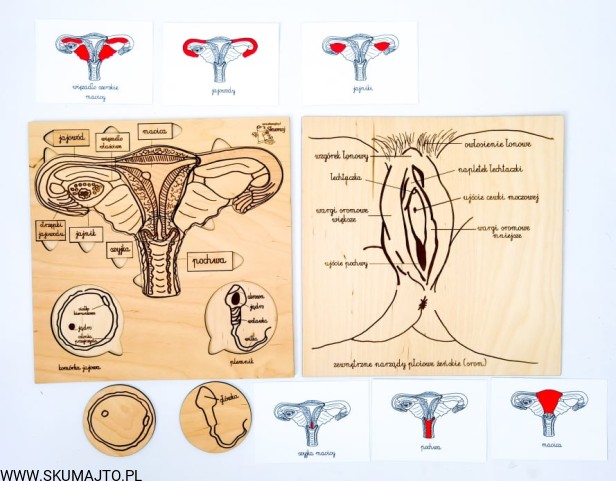 216873885_858759661704211_7348741947779778163_n