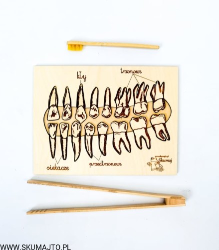 217621467_950050522224433_5649636435331985084_n