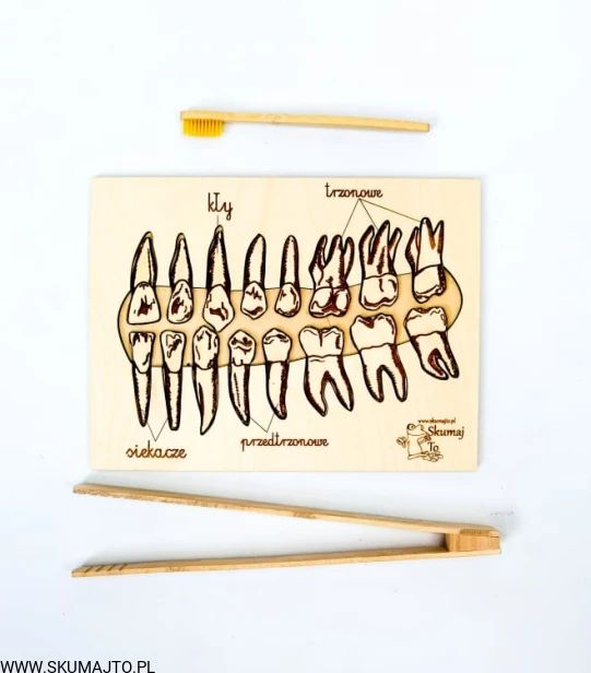 217621467_950050522224433_5649636435331985084_n