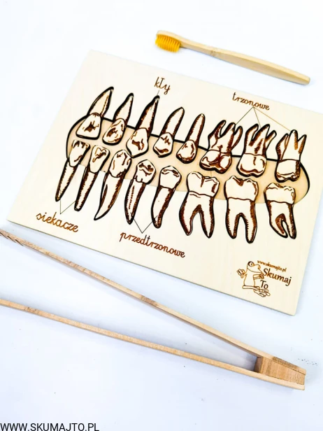 217407736_359540122209611_7535033768937355635_n