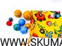 218111295_1505848296418752_5872359426531094285_n