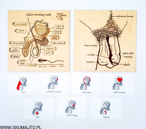 217424145_581425053244969_4550220192704794490_n