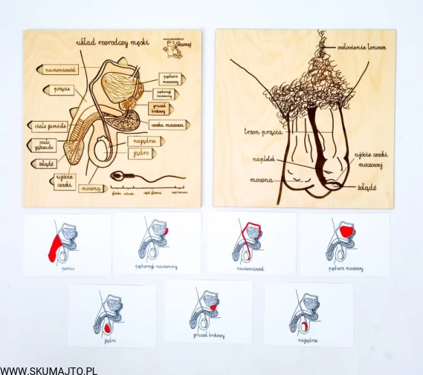 217424145_581425053244969_4550220192704794490_n