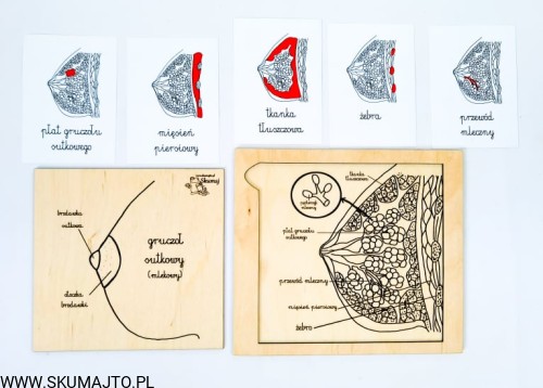 217138679_775057266517777_4393457353683681694_n