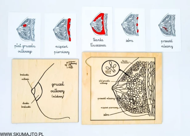 217138679_775057266517777_4393457353683681694_n