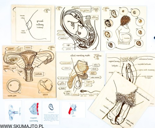 214677057_858480558206227_5290419398372782381_n