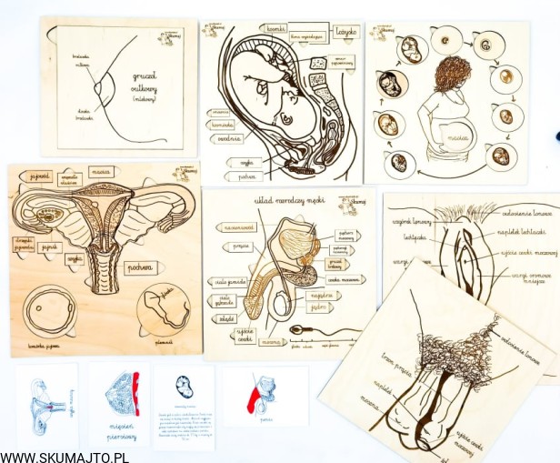 214677057_858480558206227_5290419398372782381_n