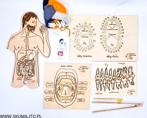 212594235_139459294966014_340353721782325271_n