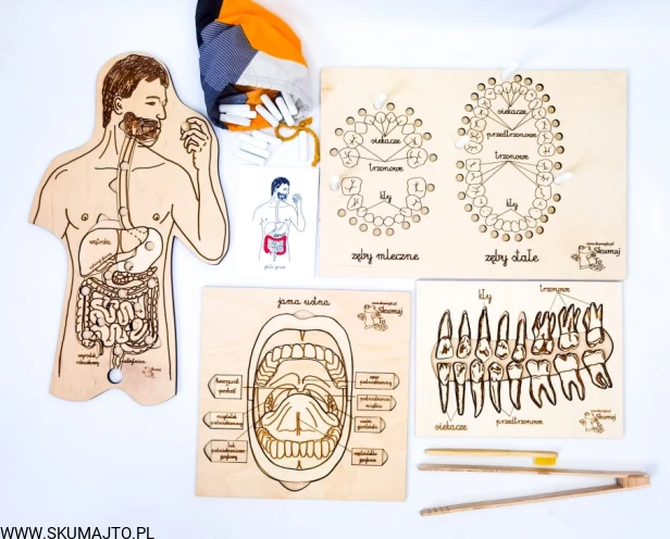 212594235_139459294966014_340353721782325271_n