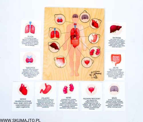 218329292_341051791088242_9079667618363168547_n