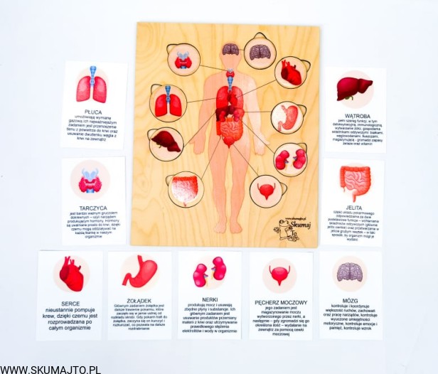 218329292_341051791088242_9079667618363168547_n