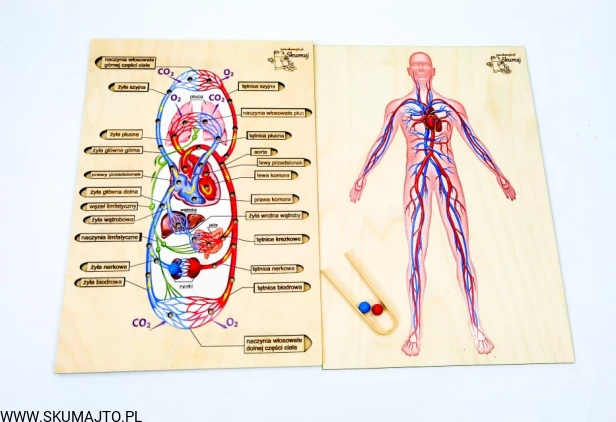216953587_342472527377273_6318020817248357137_n