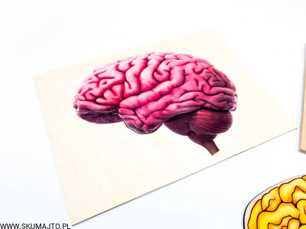 210114647_402993041037751_7179388824569428188_n